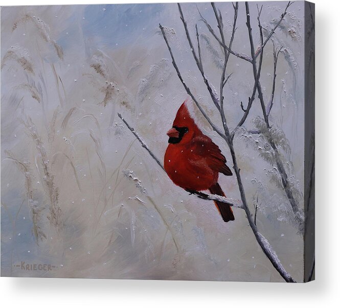 Cardinal Acrylic Print featuring the painting Winter Cardinal by Stephen Krieger