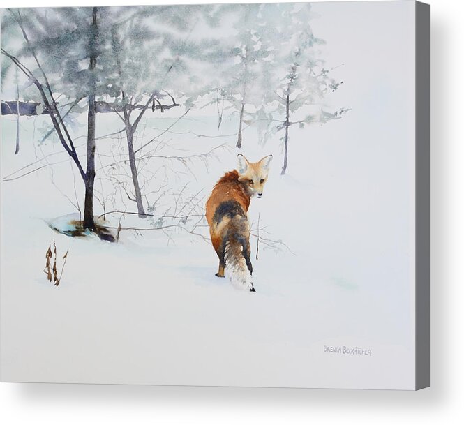 Fox Acrylic Print featuring the painting Winter Visitor by Brenda Beck Fisher