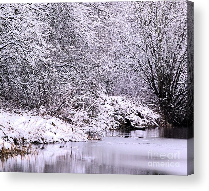 Landscape Acrylic Print featuring the photograph Winters First Icy breath by Stephen Melia