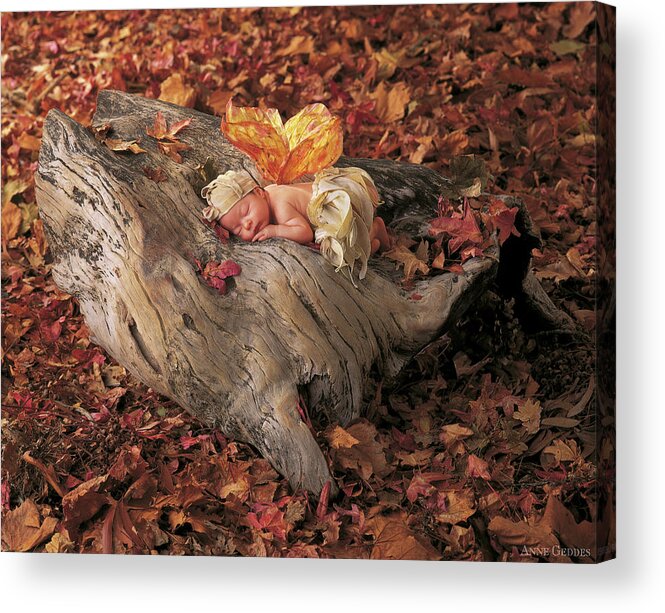 Fall Acrylic Print featuring the photograph Woodland Fairy by Anne Geddes