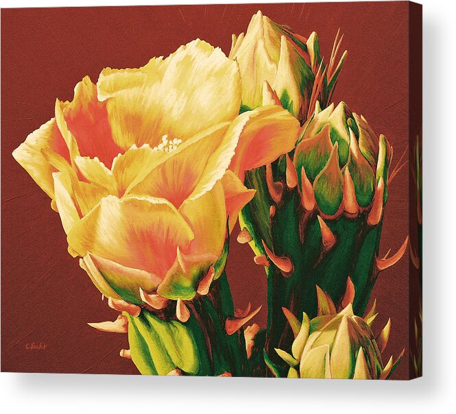 Prickly Acrylic Print featuring the painting Yellow Rose of the Desert by Cheryl Fecht