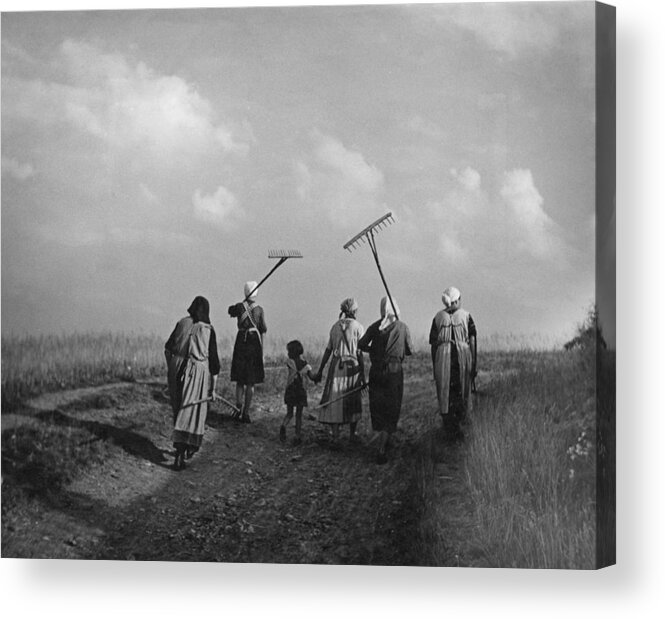 Farm Worker Acrylic Print featuring the photograph German Farming #1 by Fpg