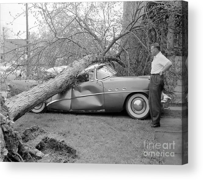 Mature Adult Acrylic Print featuring the photograph Man Looking At His Damaged Car #1 by Bettmann