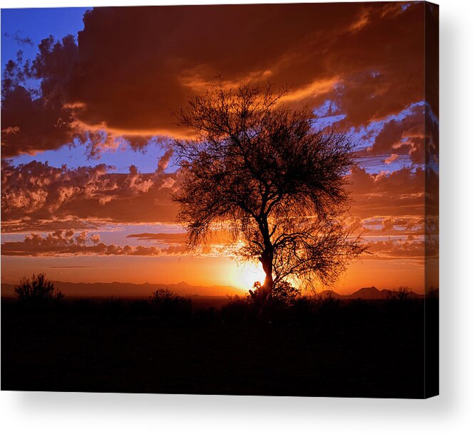 Arizona Acrylic Print featuring the photograph Mesquite Sunset #2 by American Landscapes