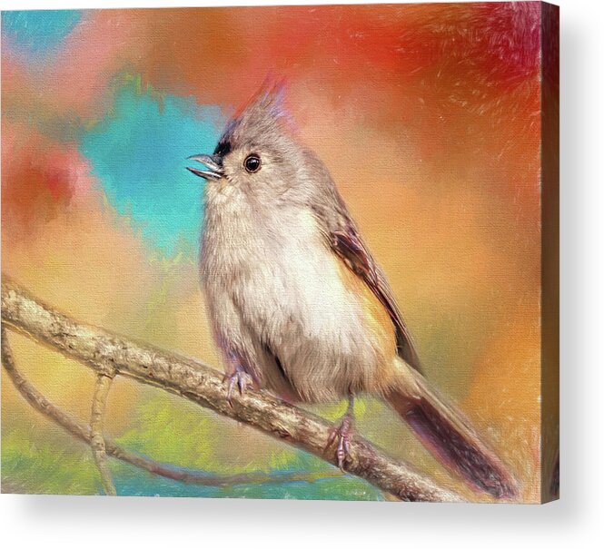 Tufted Titmouse Acrylic Print featuring the photograph Perky by Wes Iversen