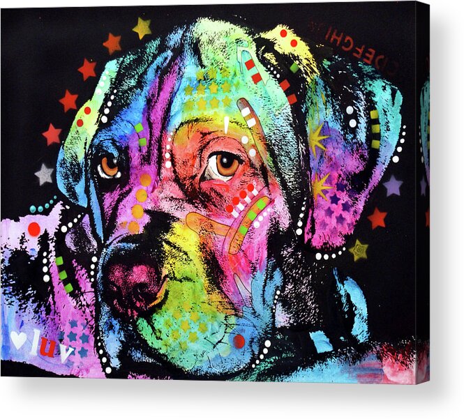 Young Mastiff Acrylic Print featuring the mixed media Young Mastiff #1 by Dean Russo