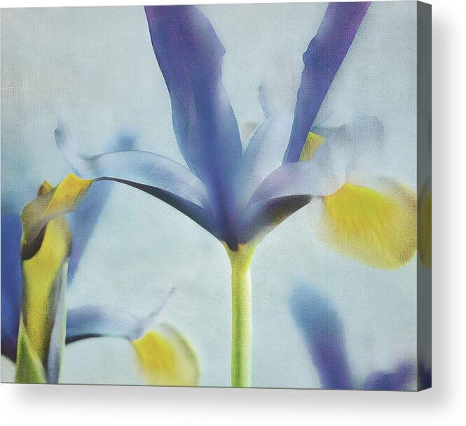Connie Handscomb Acrylic Print featuring the photograph Flow #1 by Connie Handscomb