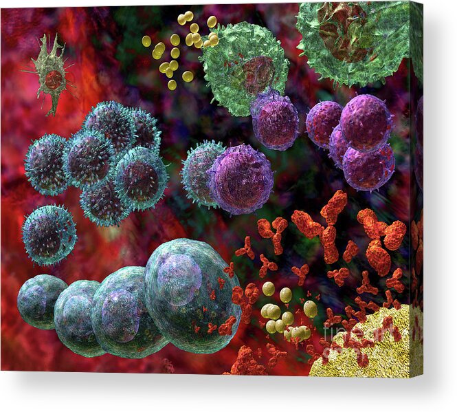 Antibodies Acrylic Print featuring the photograph Immune Response Antibody 4 #2 by Russell Kightley