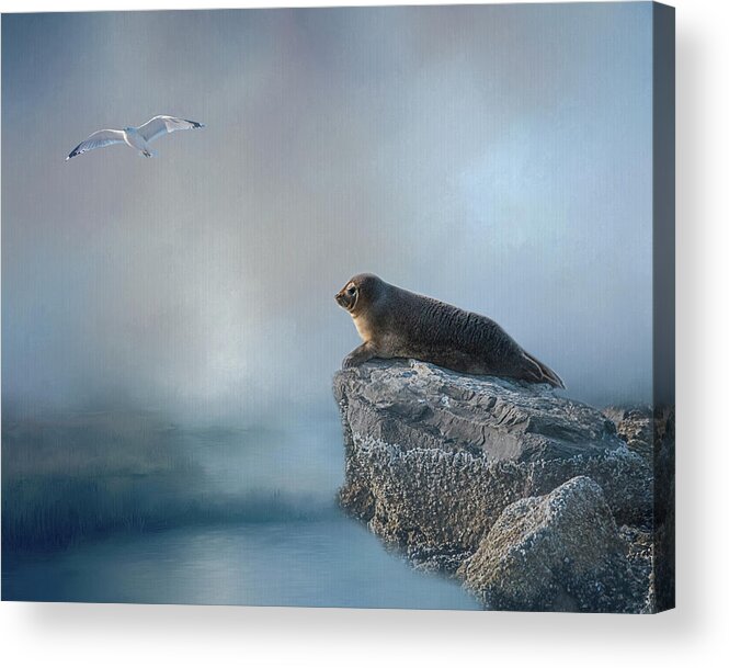 Seal Acrylic Print featuring the photograph On The Rocks #2 by Cathy Kovarik