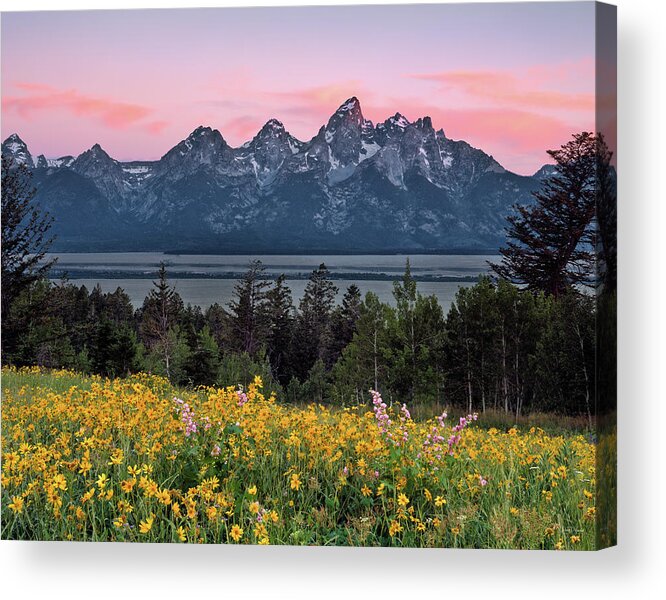 Wyoming Acrylic Print featuring the photograph Teton Spring #2 by Leland D Howard