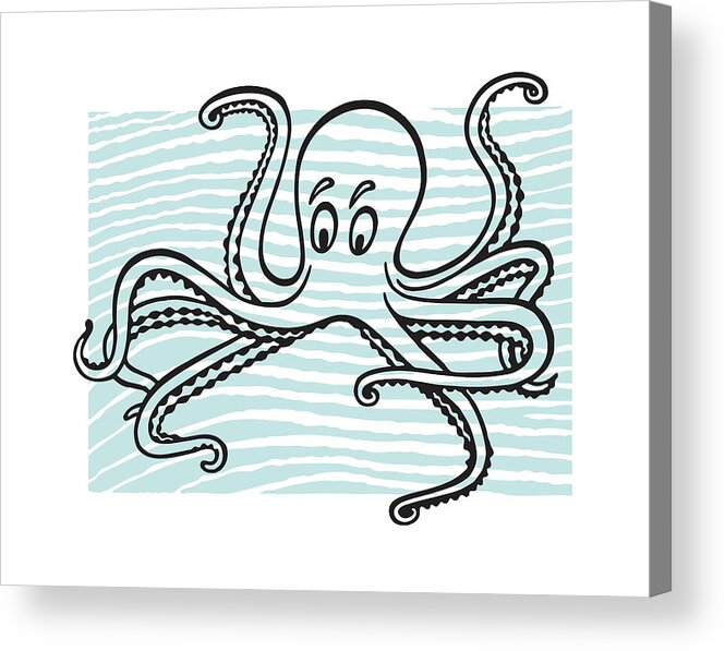 Animal Acrylic Print featuring the drawing Octopus #9 by CSA Images