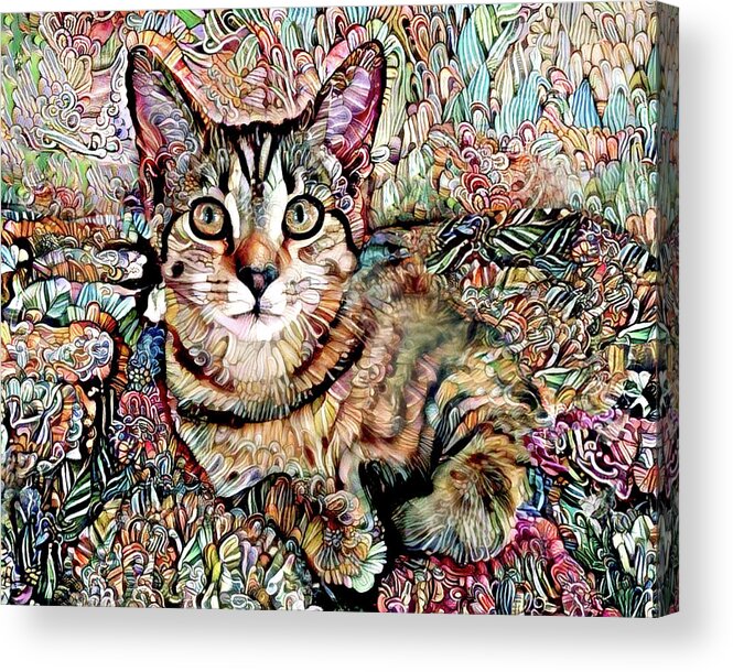 Kitten Acrylic Print featuring the digital art A Kitten Named Prada by Peggy Collins