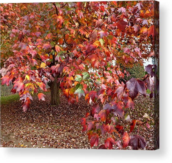 Fall Acrylic Print featuring the photograph All Colors Welcome by Lyuba Filatova