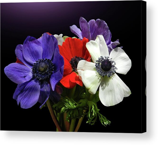 Purple Acrylic Print featuring the photograph Anemonen Bouquet by Gitpix