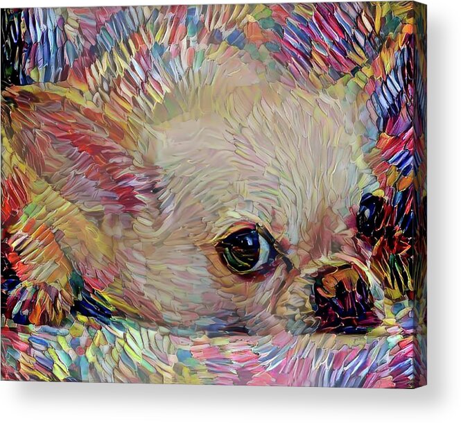 Chihuahua Acrylic Print featuring the mixed media Bitsy the Chihuahua by Peggy Collins