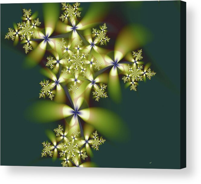 Fractal Acrylic Print featuring the digital art Blomma by Fractalicious