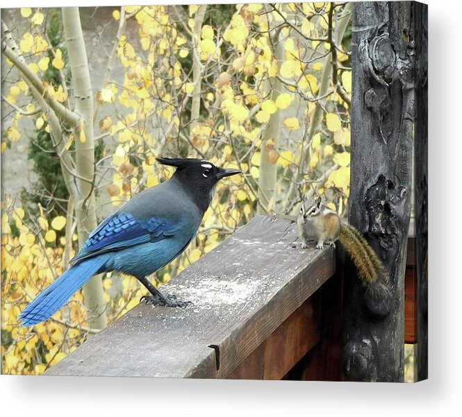 Birds Acrylic Print featuring the photograph Buddies by Karen Stansberry