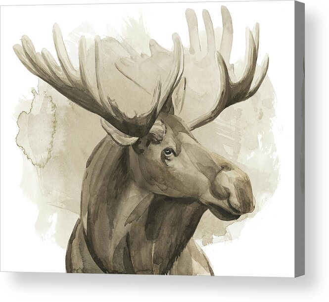 Western Acrylic Print featuring the painting Bull Moose I by Grace Popp