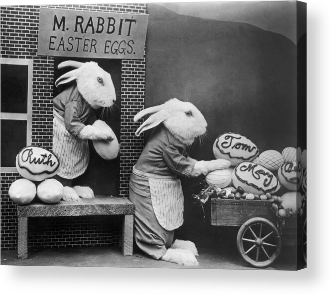 Stuffed Acrylic Print featuring the photograph Bunny Business by Frees