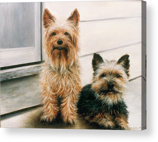 Dogs Acrylic Print featuring the painting Casey & Clay by Kevin Dodds