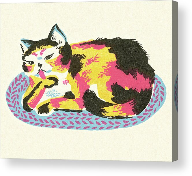 Animal Acrylic Print featuring the drawing Cat Lying on a Rug by CSA Images