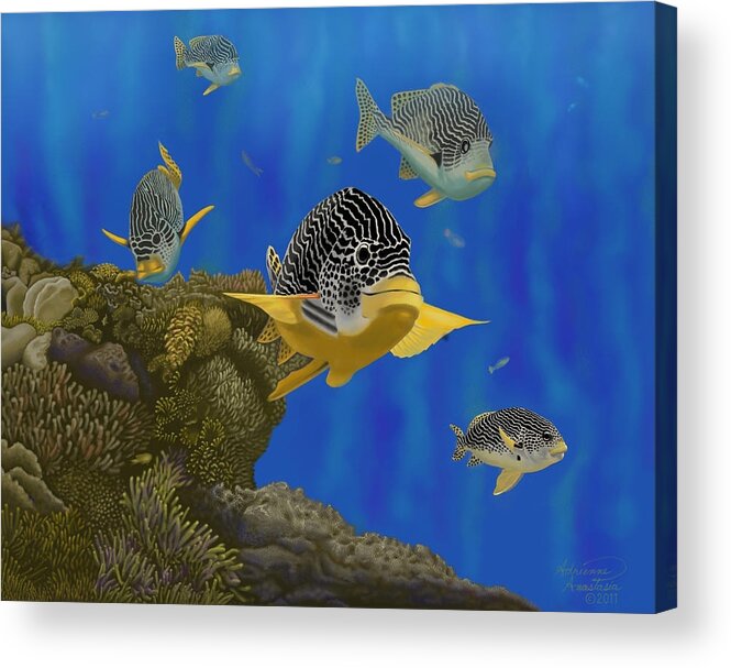 Fish Acrylic Print featuring the painting Cruisin' the Great Barrier Reef by Adrienne Dye