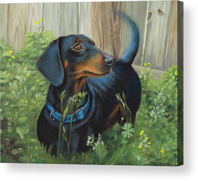 Animals Acrylic Print featuring the painting Dachshund by Tiffany Hakimipour