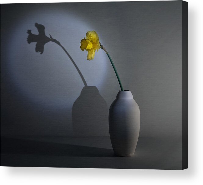 Daffodil Acrylic Print featuring the photograph Daffodil by John-mei Zhong