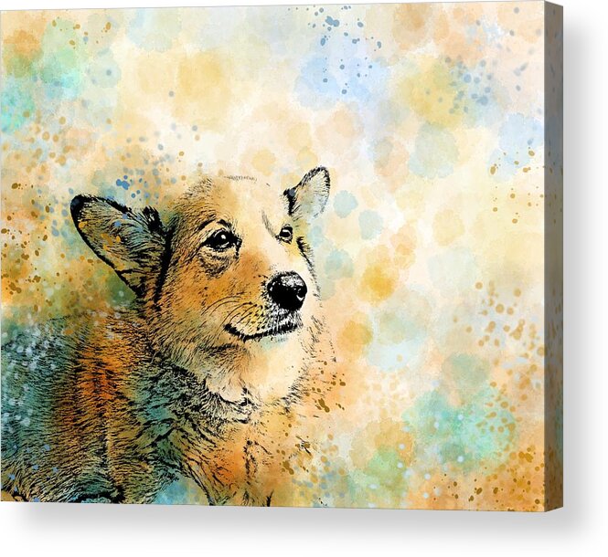 Dog Acrylic Print featuring the digital art Dog 143 Corgi by Lucie Dumas