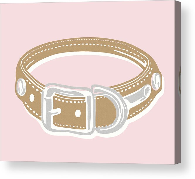 Animal Acrylic Print featuring the drawing Dog Collar by CSA Images