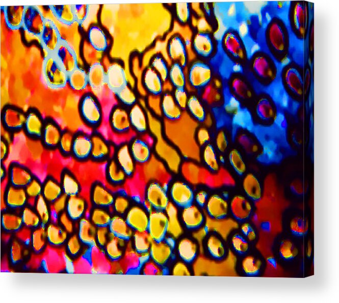 Red Acrylic Print featuring the painting Embryos by Gabby Tary