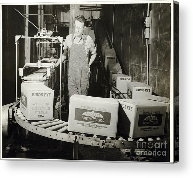 People Acrylic Print featuring the photograph Factory Worker Watching A Conveyor Belt by Bettmann
