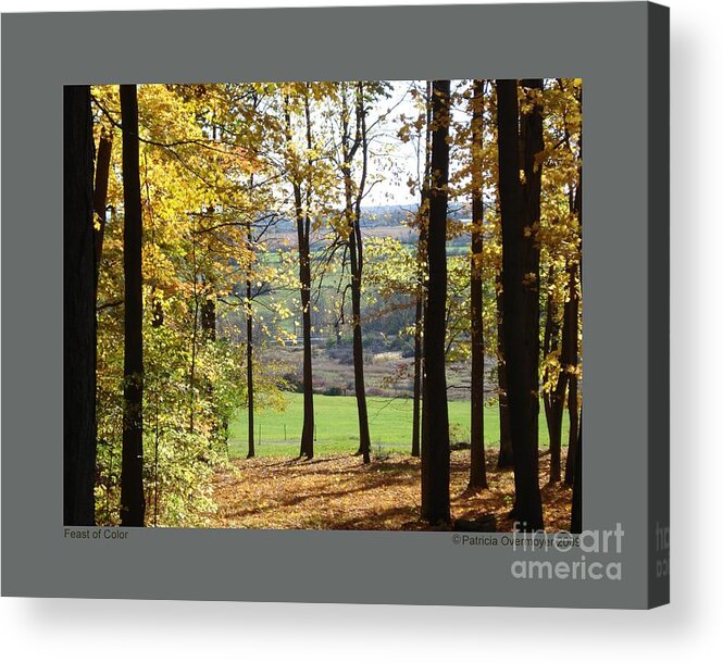 Autumn Acrylic Print featuring the photograph Feast of Color by Patricia Overmoyer