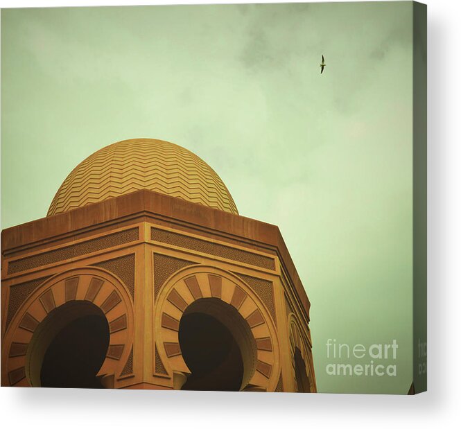 Seagull Acrylic Print featuring the photograph Flight over Doha by Yavor Mihaylov