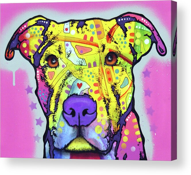 Focused Pitpups Acrylic Print featuring the mixed media Focused Pit by Dean Russo