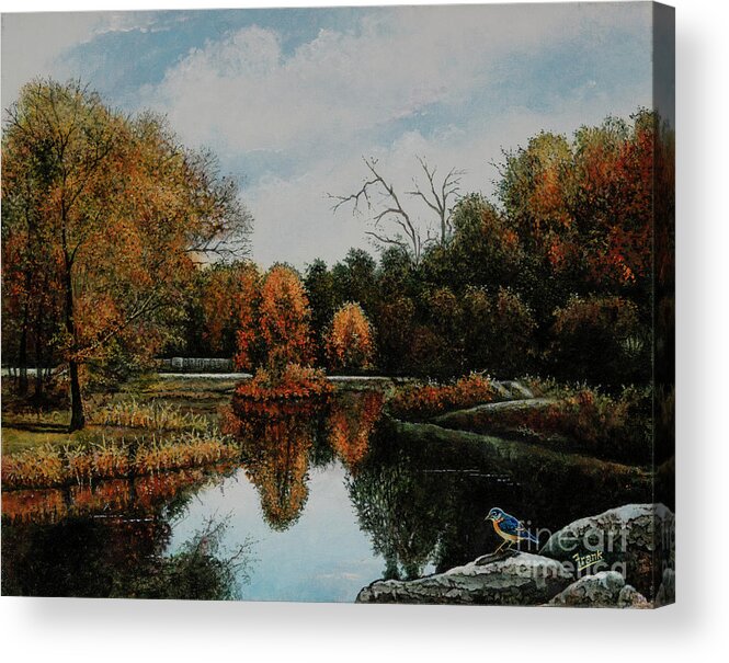 St. Louis Acrylic Print featuring the painting Forest Park Waterways 1 by Michael Frank