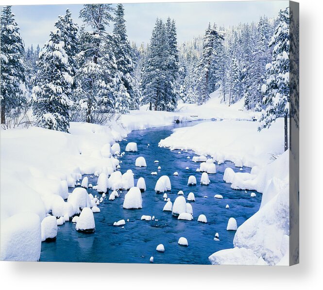 Scenics Acrylic Print featuring the photograph Fresh Winter Snow Covers Forest With by Ron thomas
