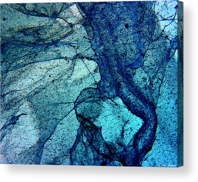  Acrylic Print featuring the photograph Frozen in Blue by Rein Nomm