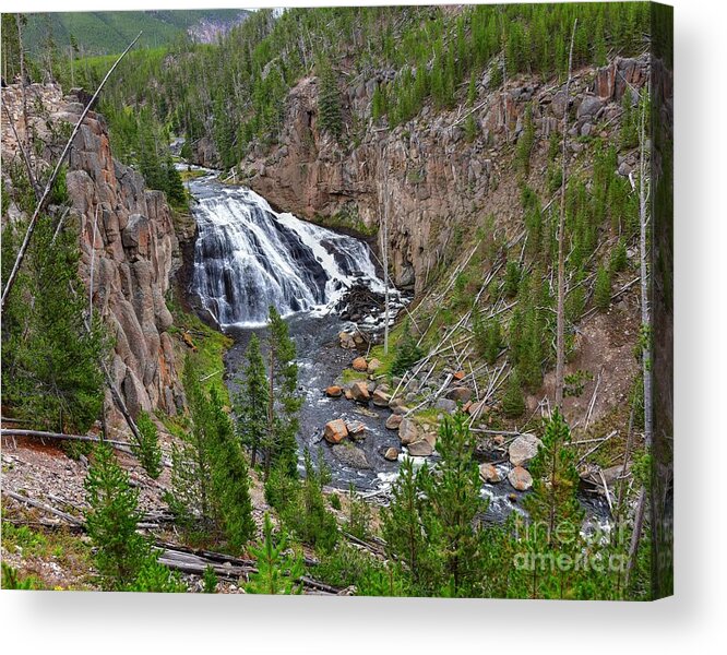 Waterfalls Acrylic Print featuring the photograph Gibbon Falls by Steve Brown