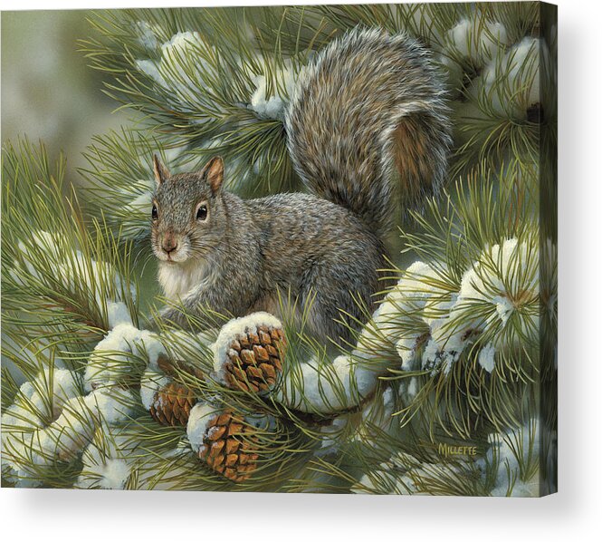 #faatoppicks Acrylic Print featuring the painting Gray Squirrel by Wild Wings
