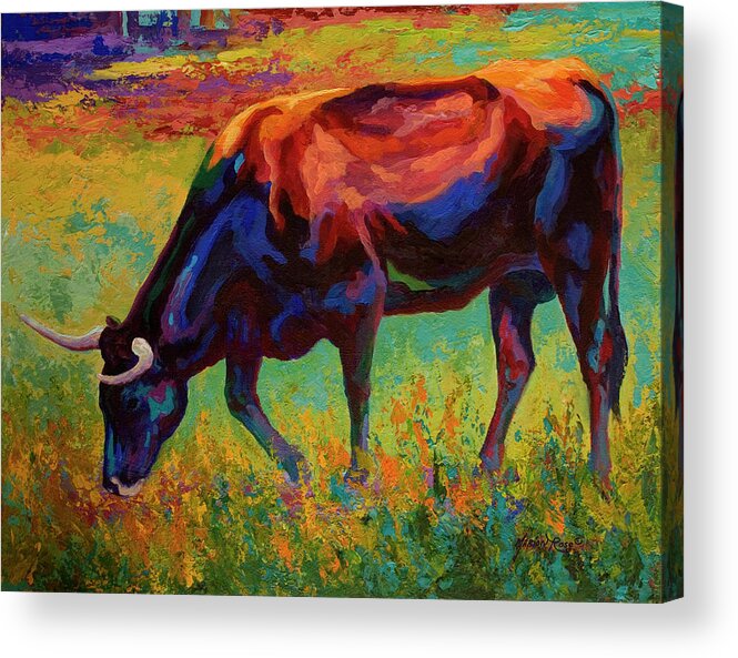 Grazing Longhorn Acrylic Print featuring the painting Grazing Longhorn by Marion Rose