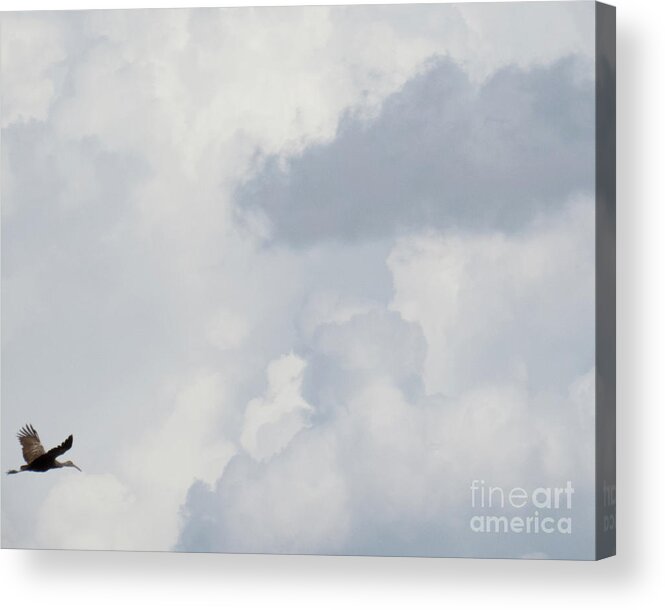 Crane Acrylic Print featuring the photograph Crane in the clouds by Christy Garavetto