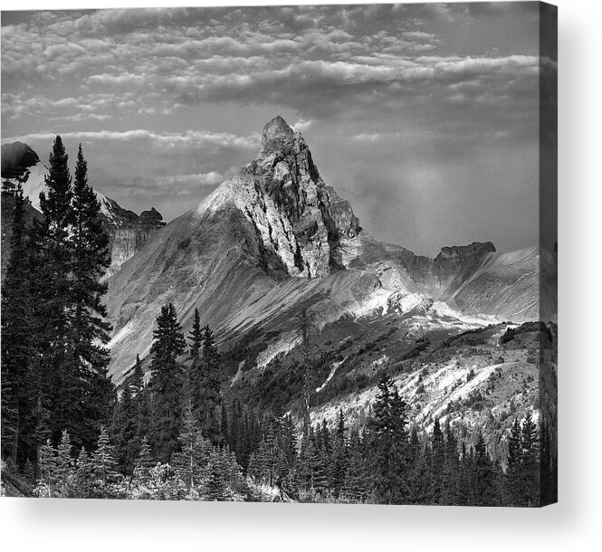 Disk1215 Acrylic Print featuring the photograph Hilda Peak Banff National Park by Tim Fitzharris