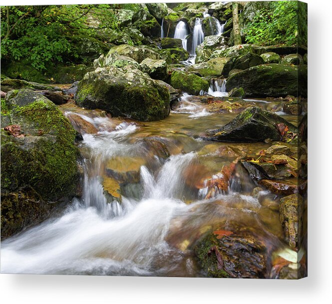 Waterfall Acrylic Print featuring the photograph Hogcamp Branch Falls I by William Dickman