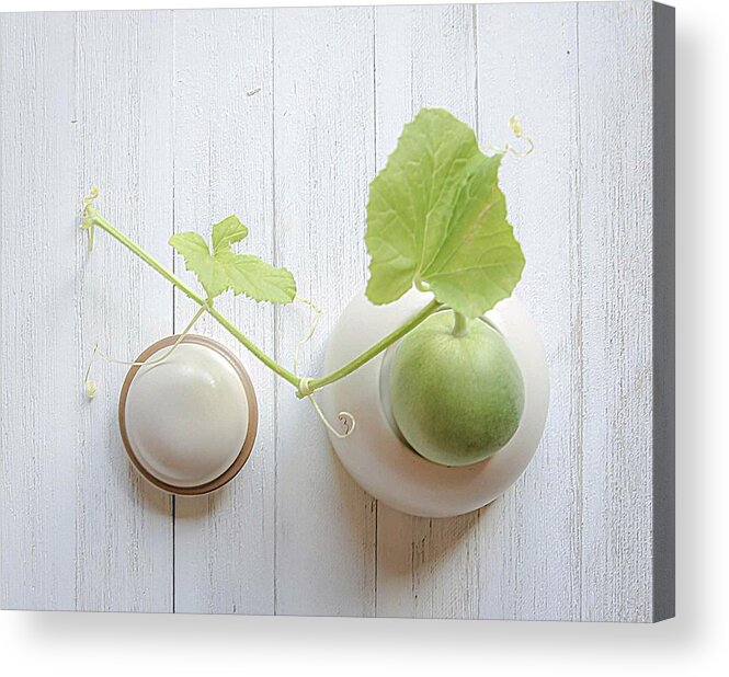 Honeydew Acrylic Print featuring the photograph Honeydew Melon by Fangping Zhou