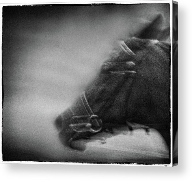 Film Acrylic Print featuring the photograph Horse by Rudy Umans