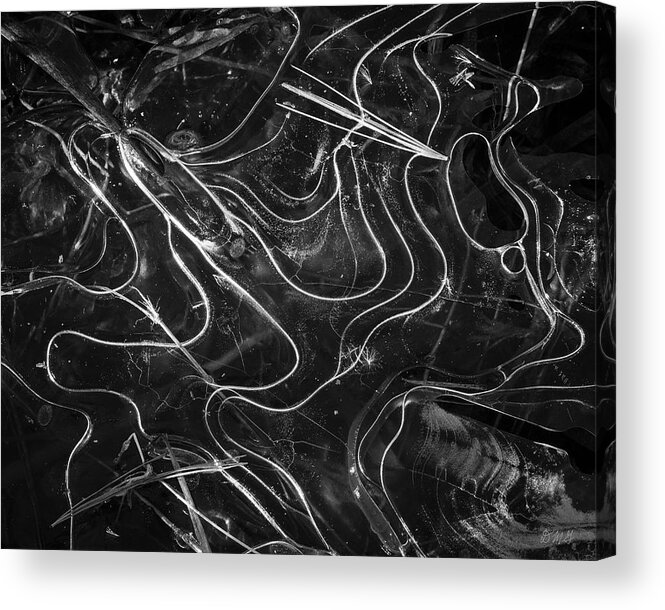 Ice Acrylic Print featuring the photograph Ice Abstraction III BW by David Gordon