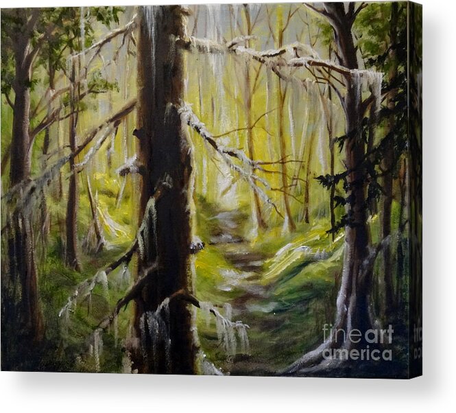 Forest Trees Light Dark Landscape Sky Shadows Shade Ground Moss Grass Branches Leaves Path Glow Acrylic Print featuring the painting Inside The Forest by Ida Eriksen