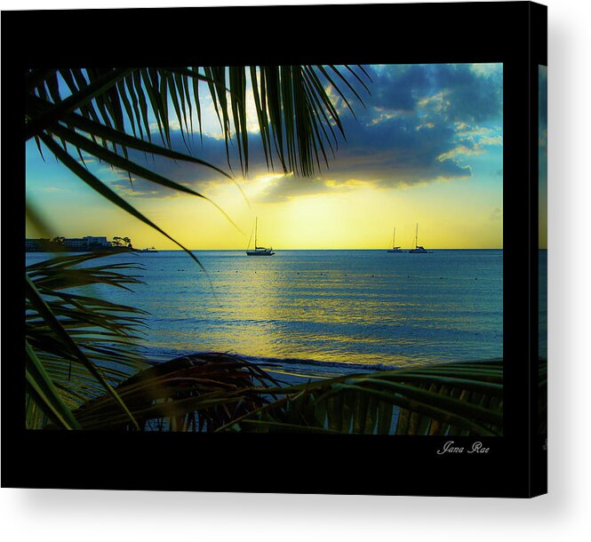  Acrylic Print featuring the photograph Jamaica IMG 5816 by Jana Rosenkranz