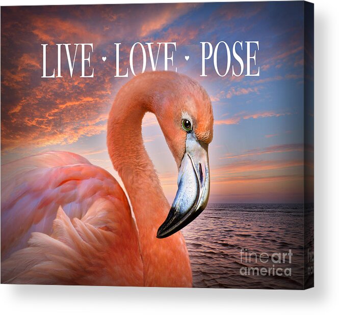 Flamingo Acrylic Print featuring the digital art Live Love Pose Flamingo by Evie Cook